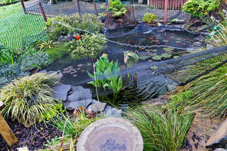 32 Longfellow Parade Glen Eden_8