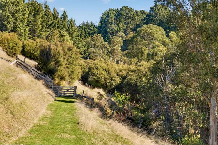 2 Mt Herbert Peak Road Diamond Harbour_42