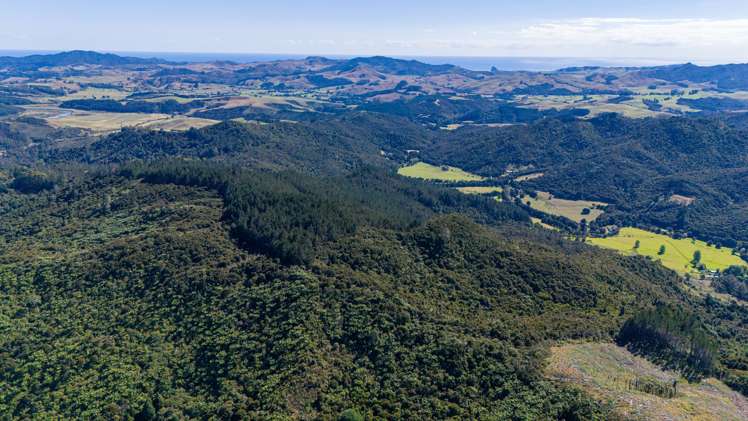 Lot 2 Goshen Valley Road Mangonui_1