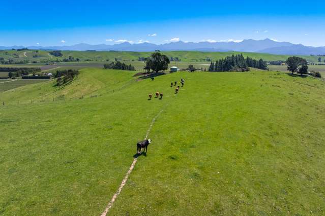 407 Brookby Road Fairhall_1