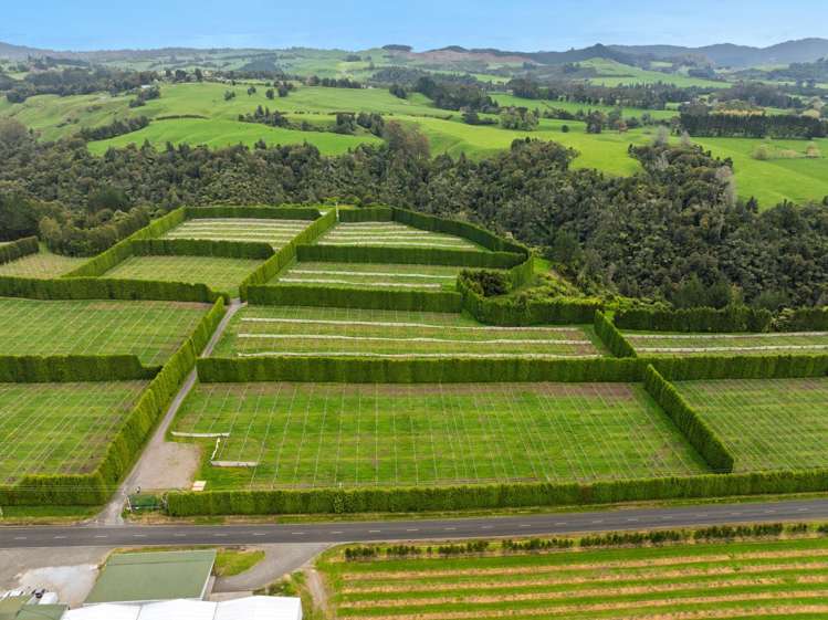 Lot 2/1010 Te Matai Road Te Ranga_8