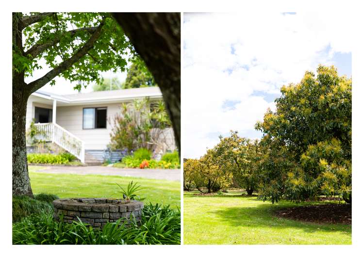 86b Pahoia Road Whakamarama_4