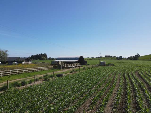 390 Marychurch Road Matangi_2