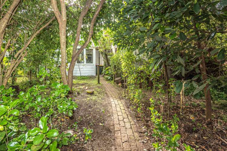 41 Gloag Street Waverley_23