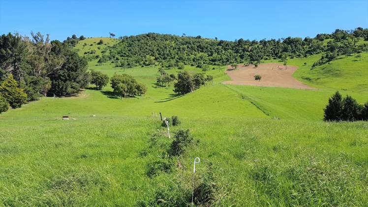 2000 Hillfoot Road Catlins Surrounds_21