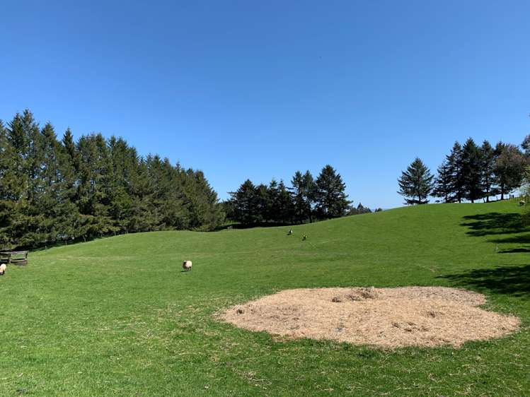 1173 Poihipi Road Oruanui_18