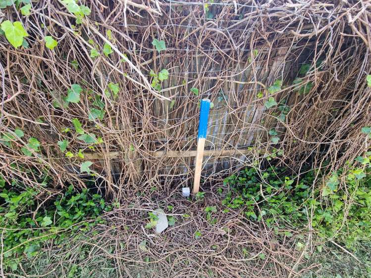 123 Hall Street Hokitika_19