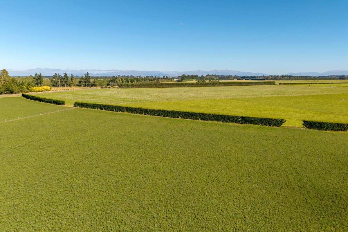 638 Telegraph Road_1