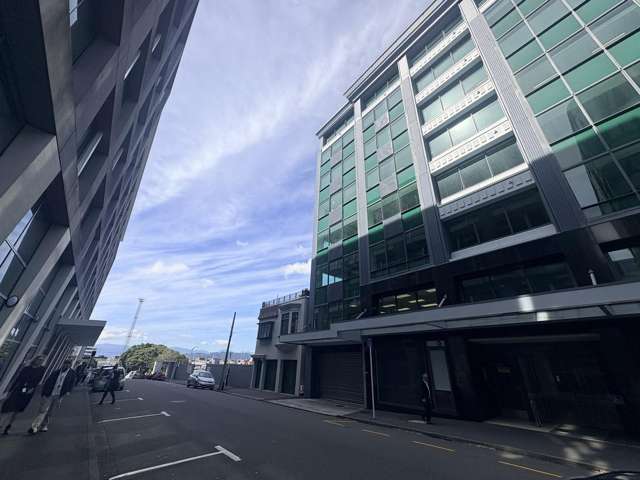 Ground/23 Kate Sheppard Place Thorndon_1