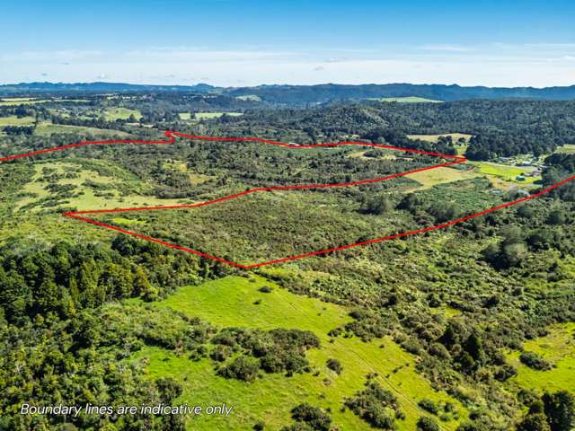 Mangakahia Road Tautoro_3