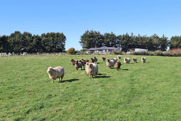 36 Mill Road North Mill Road_35