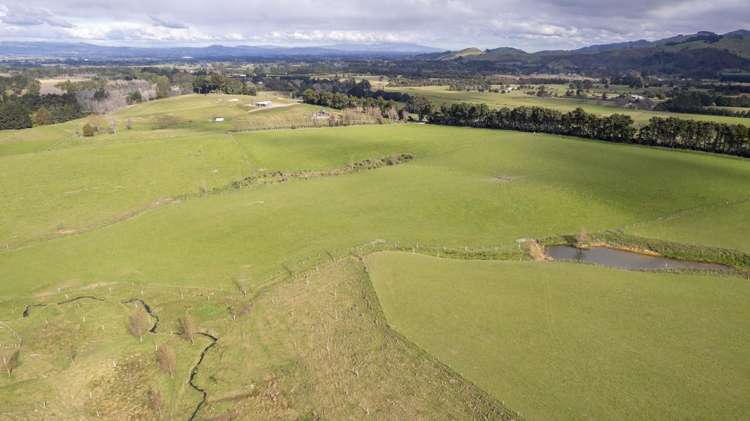 Burnetts Road Masterton_11