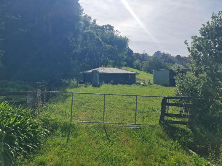 28 Domain Road Ormond_1