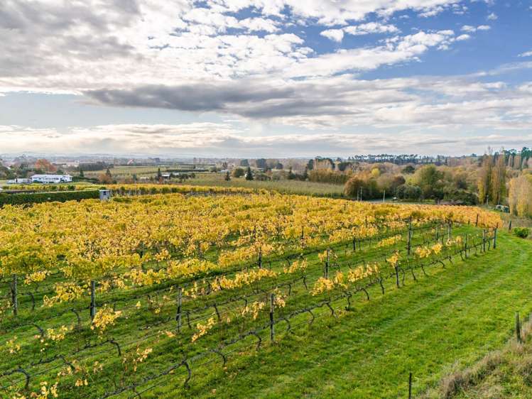 56 River Road Havelock North_14