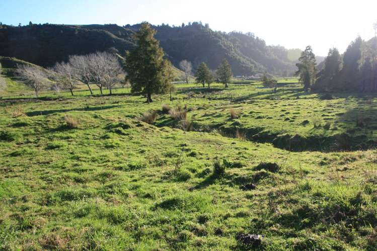 0n Mangaonga Road Ahititi_5