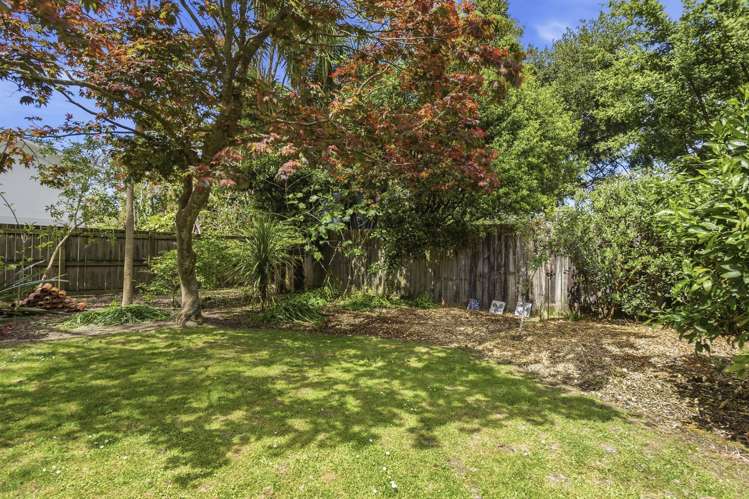 18 Kitchener Street Claudelands_27