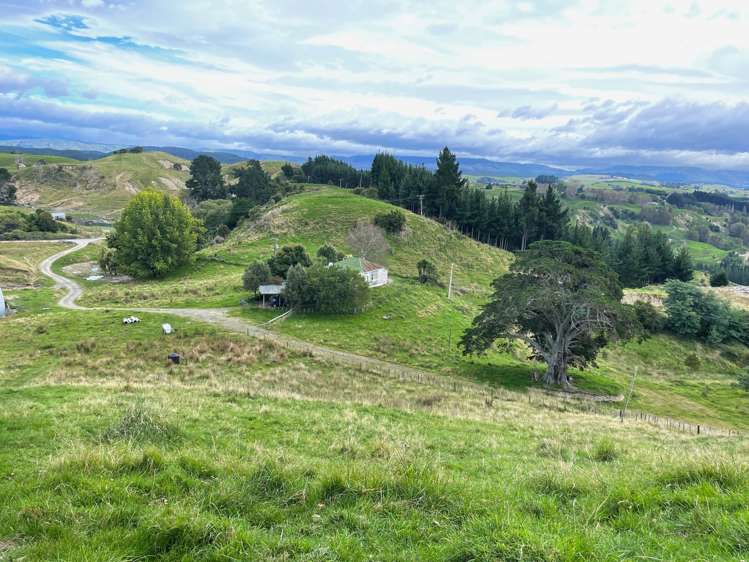 643 Glengarry Road Puketapu_20