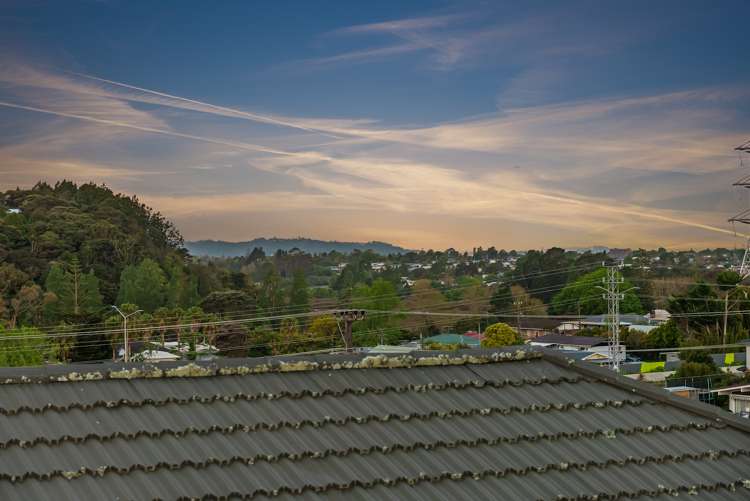 7 Exotic Place Massey_22