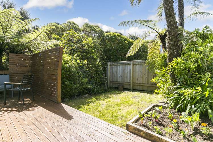 14 Moffitt Street Vogeltown_12