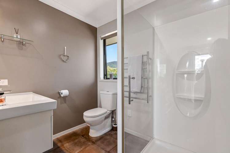 1102a Old Te Aroha Rd Matamata_8