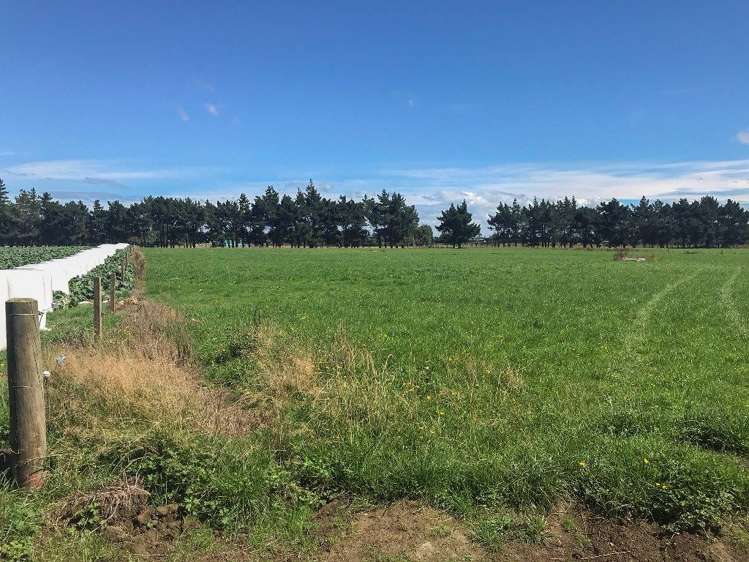 112 Kennington Waimatua Road Kennington_27