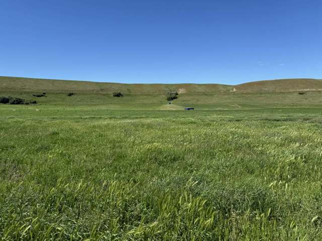 1791 Bells Lane Tarras_2