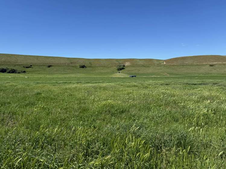 1791 Bells Lane Tarras_2