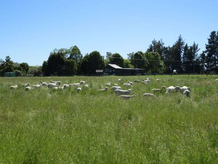 46 Batchelor Ford Road Motueka_16