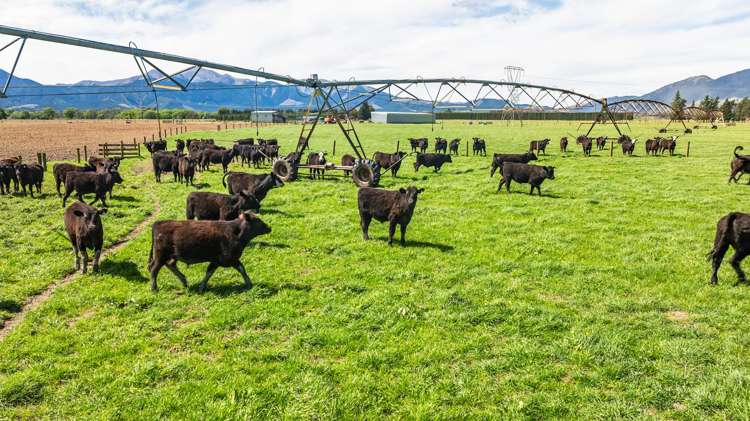 10 Chatterton Road Hanmer Springs_14