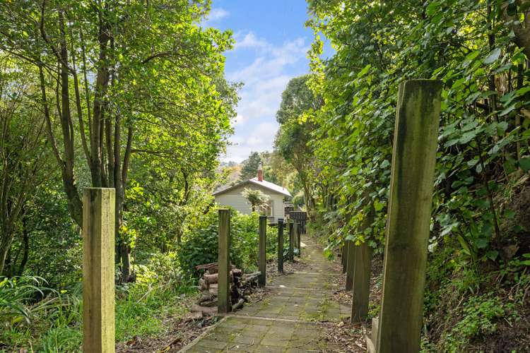 6a Ballance Street Lower Vogeltown_18