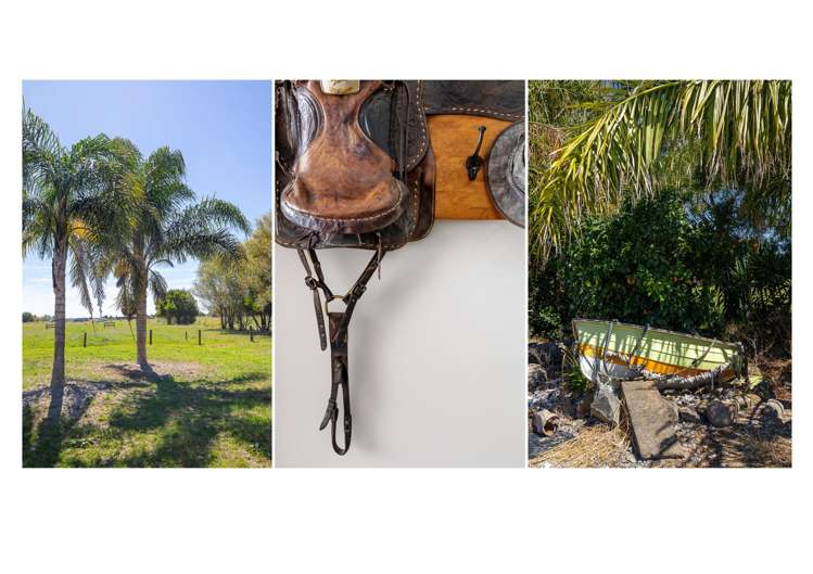 270 Orongo Road Orongo_7