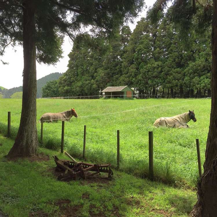 505 Golden Valley Road Waihi_47