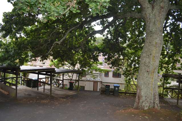 4/50 Amy Street Ellerslie_1