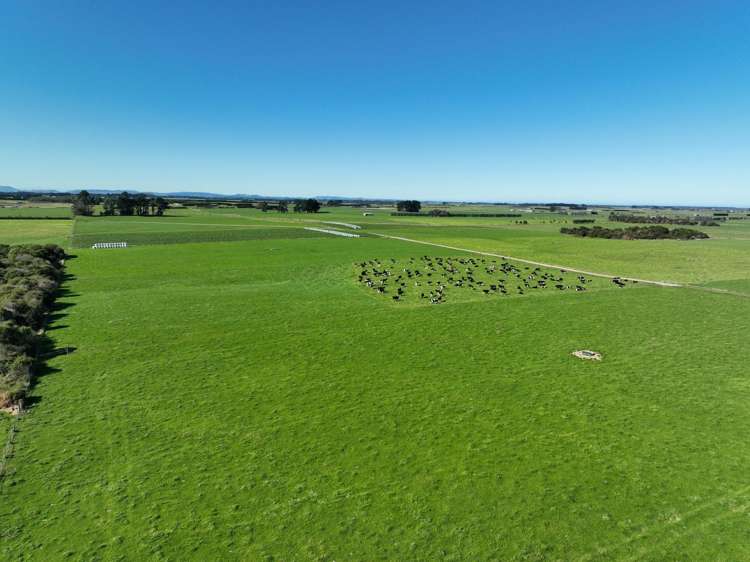 792 Rimu Road, Farm 4_0
