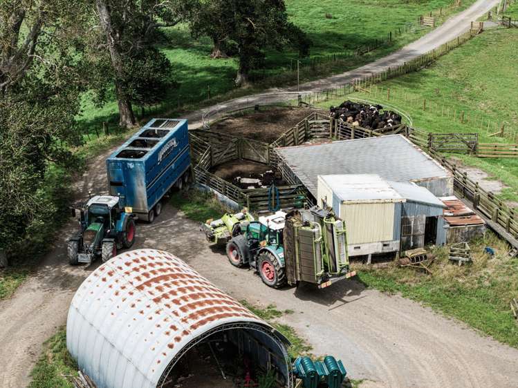 18 Bell Road Kaitaia_12