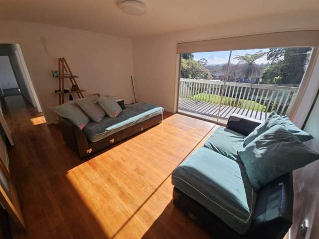 47 Mack Place Red Hill_3