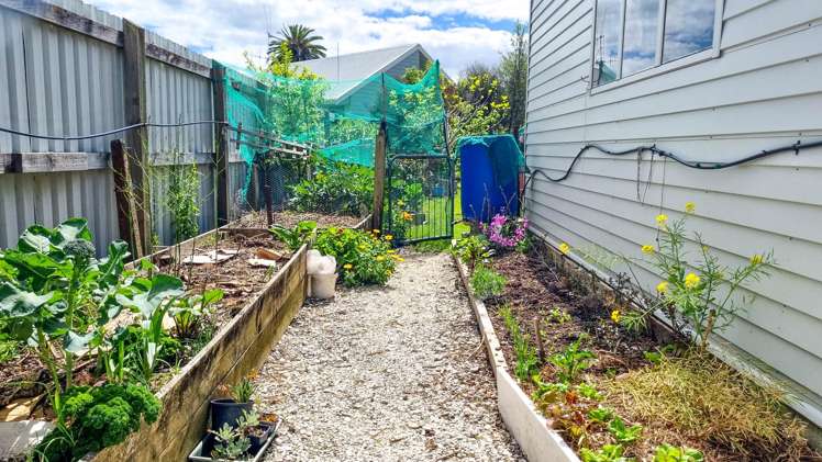 209 Fenton Street Thames_27
