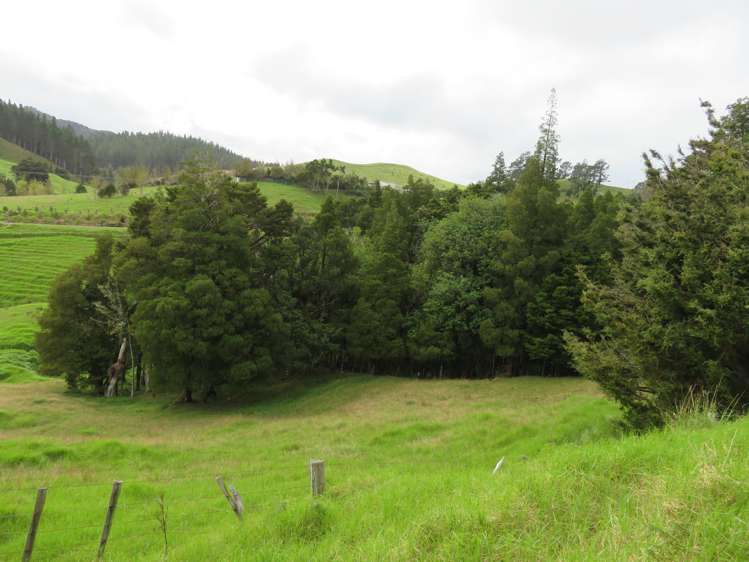 285 Peria Road Peria_14