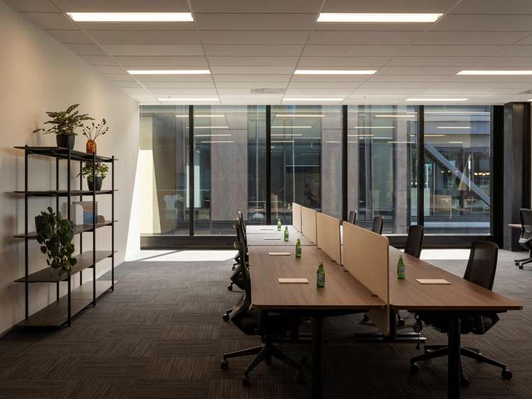 10 Madden Street Auckland Central_5