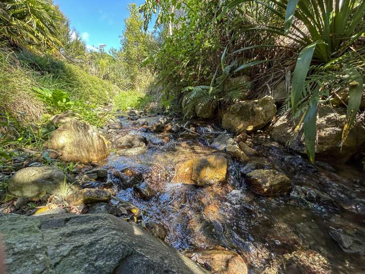 14 Haile Lane Kahurangi National Park_20