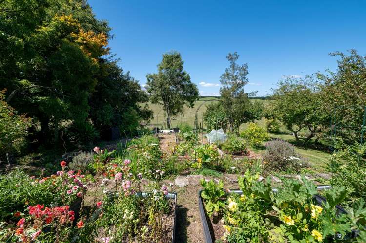 202 Ngamotu Road Rerewhakaaitu_25