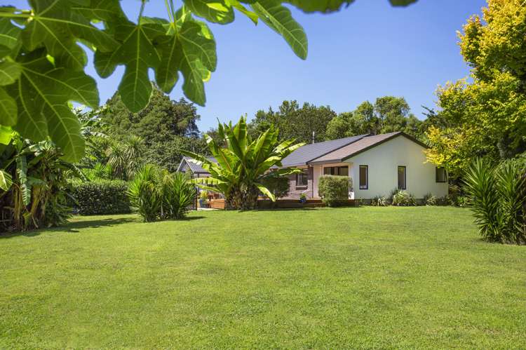 11 Scotsvale Drive Tauwhare_20