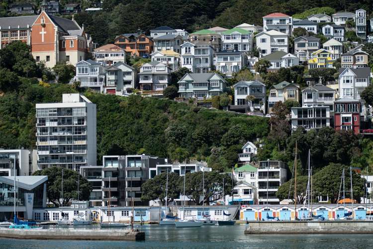 72 Hawker Street Mount Victoria_5