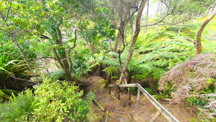 Lot 4 DP66008 North Cove Kawau Island_24