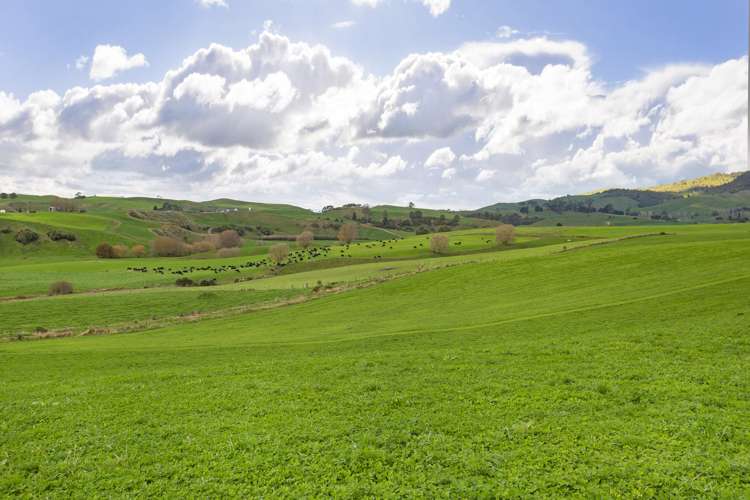 Piakonui Road Richmond Downs_9