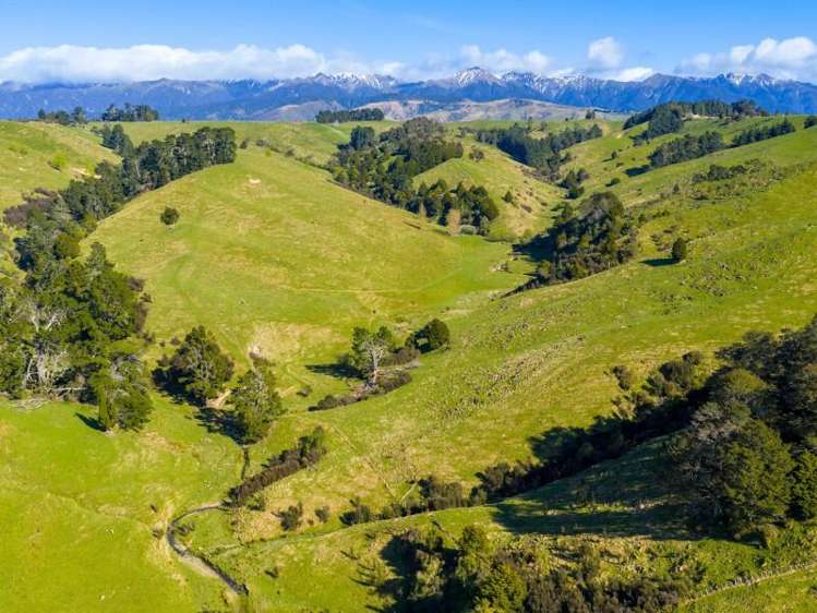 1139 Blackburn Road Central Hawkes Bay_17