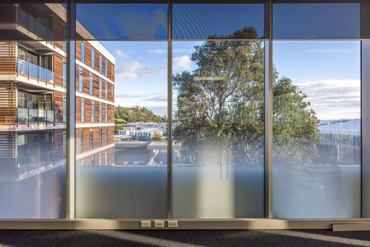 8 Nugent Street Grafton_2