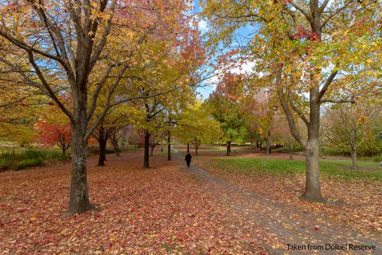 66a Puketapu Road Taradale_17