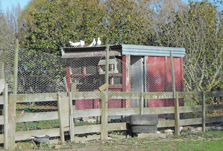 442 Te Whiti Road Masterton_23