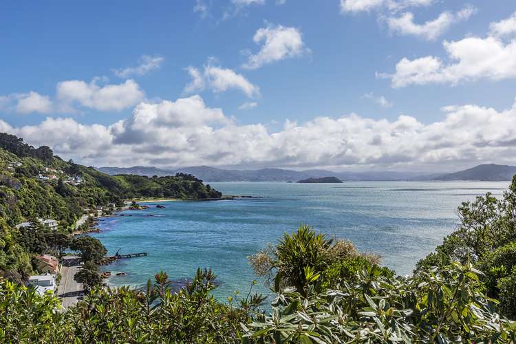 25 Tai Paku Paku Road Karaka Bays_15